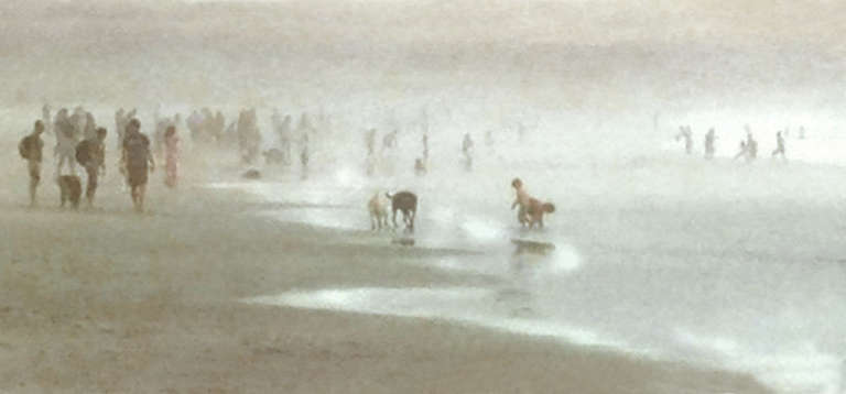 Dale Johnson Portrait Photograph - Foggy Day at the Beach