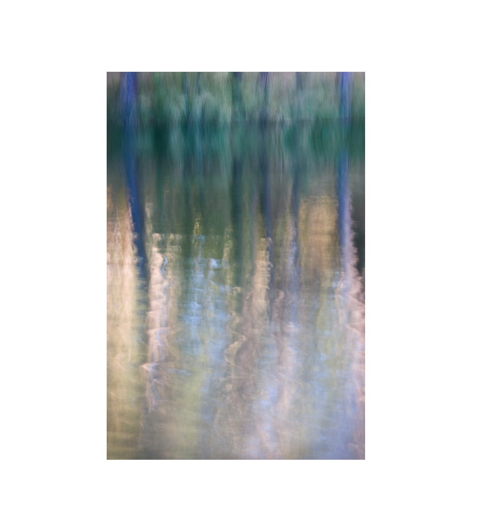 William Neill Color Photograph - Forest Reflections, Manzanita Lake, California