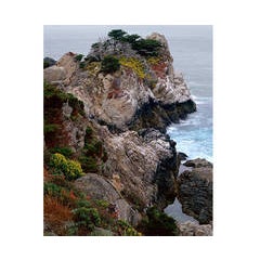 Pinnacle Ridge, Point Lobos State Park, Point Lobos State Reserve, CA 3