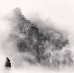 Huangshan-Gebirge, Studie 1, Anhui, China. 2010