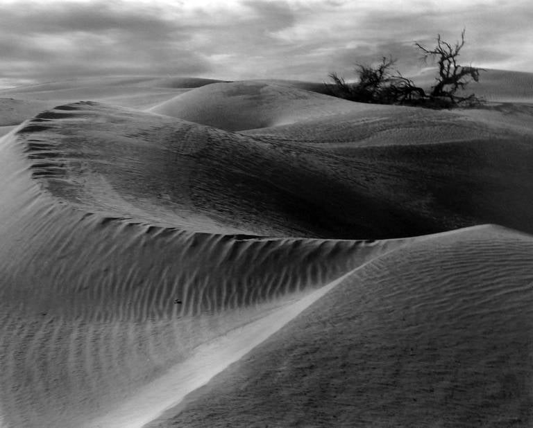 Edward Weston Dunes 1938 Photograph At 1stdibs Edward Weston Landscape Photograph Dunes 1938