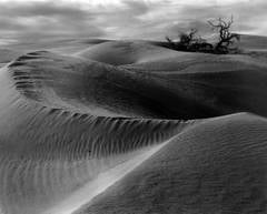 Dunes, 1938