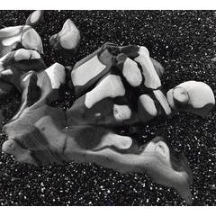 Beach Rocks 5