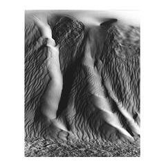 White Sands ~ Dunes 12