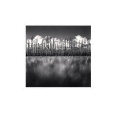 Poplar Trees and Cumulus Clouds, Kirwee, Canterbury, New Zealand, 2013 7