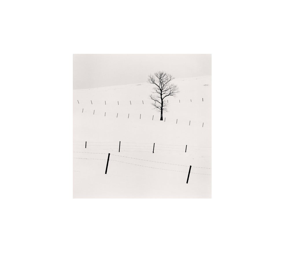 Tree and Twenty Eight Posts (arbre et vingt-huit poteaux), Teshikaga, Hokkaido, Japon, 2013