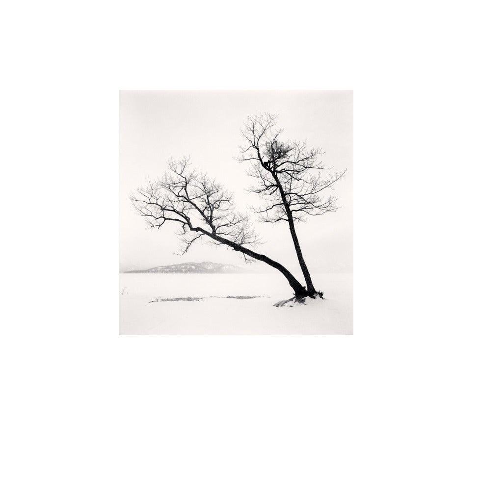 Michael Kenna Black and White Photograph - Two Leaning Trees, Hussharo Lake, Hokkaido, Japan, 2013