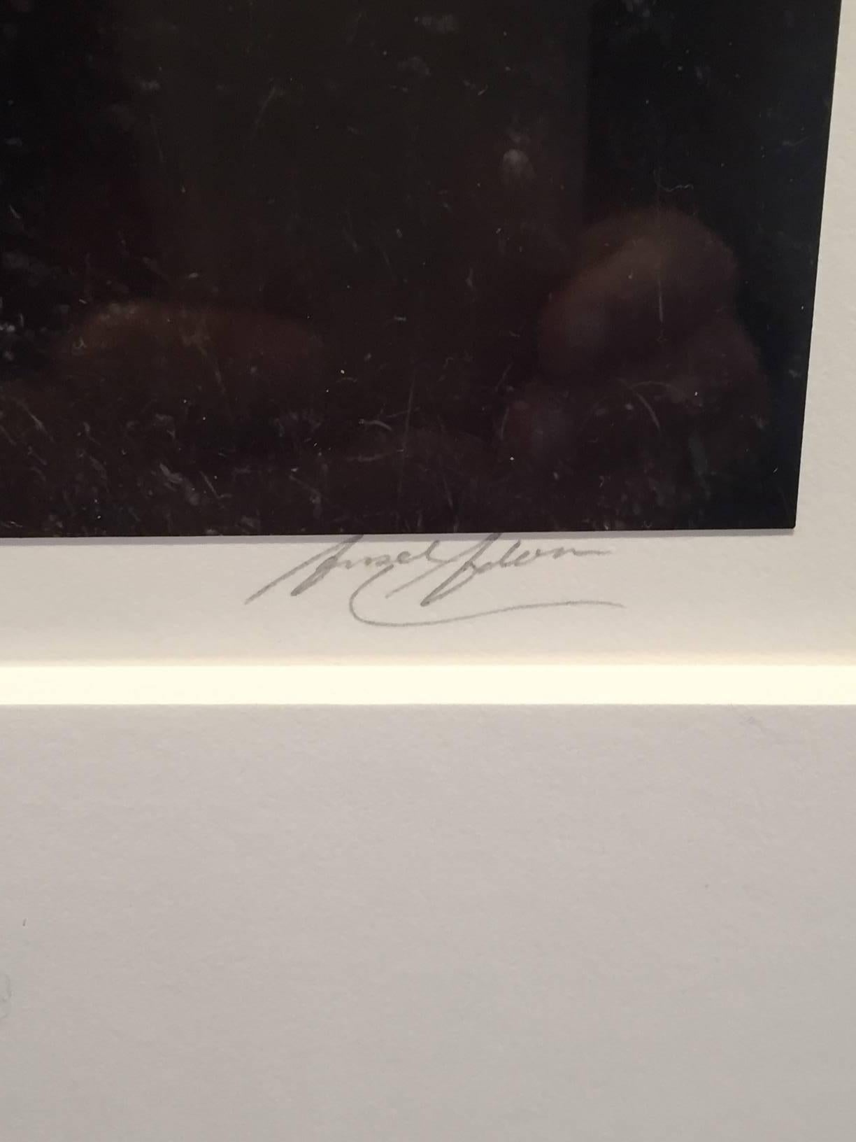 Signé sur le devant du support par Ansel Adams. Imprimé dans les années 1970.
