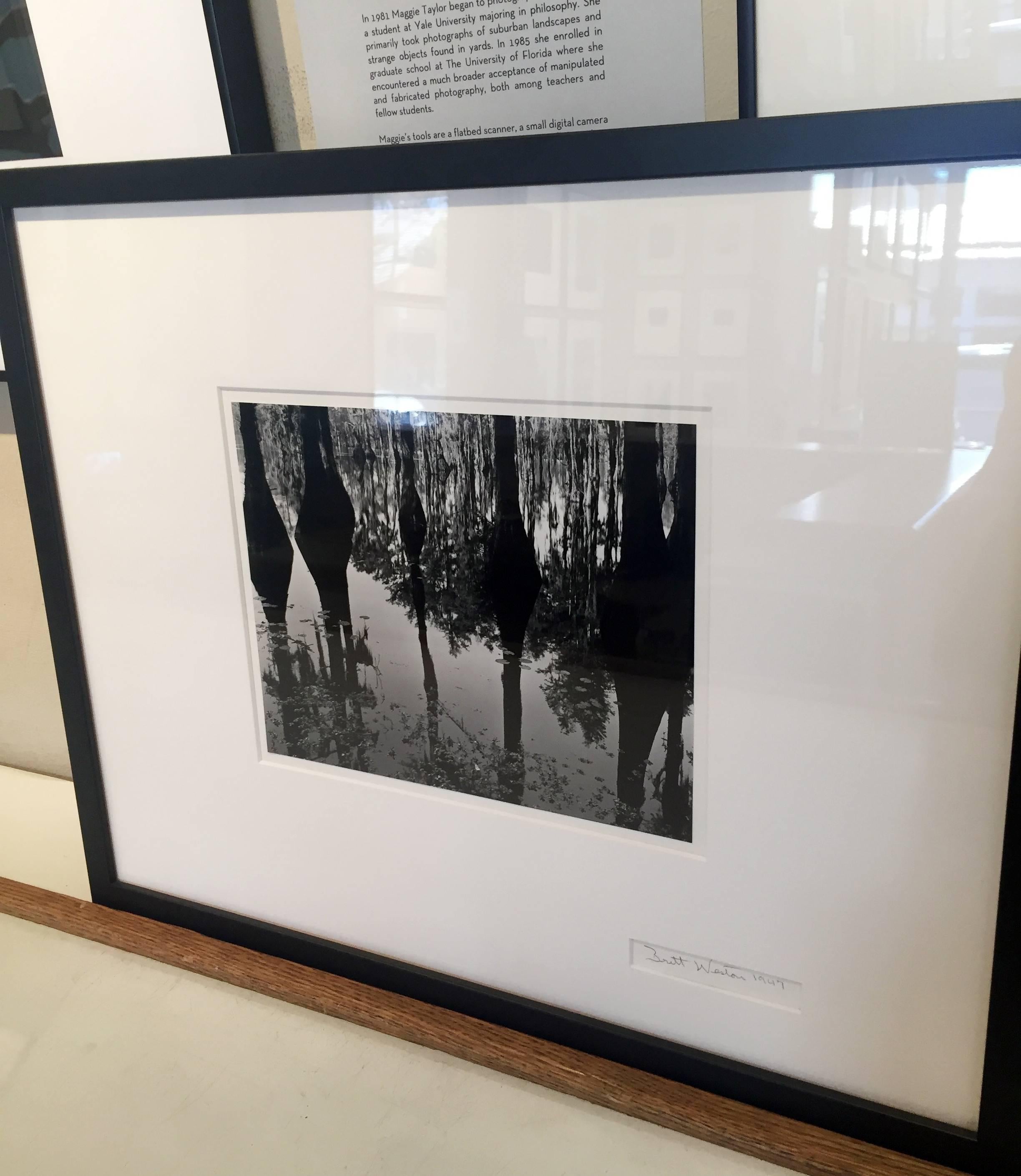 Swamp, North Carolina - Gray Abstract Photograph by Brett Weston