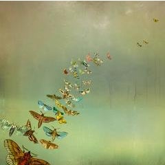 Happiness. 1