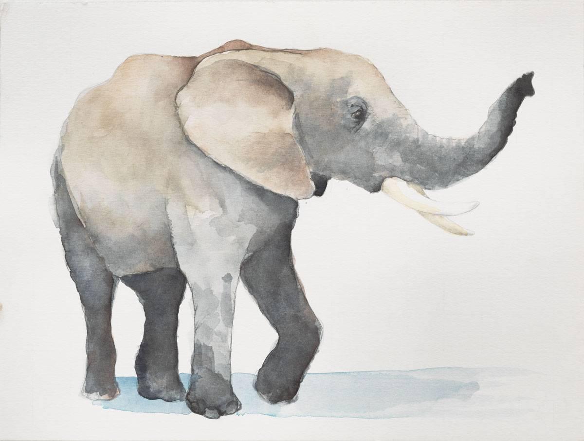 Nick Lamia Animal Print - Elephant