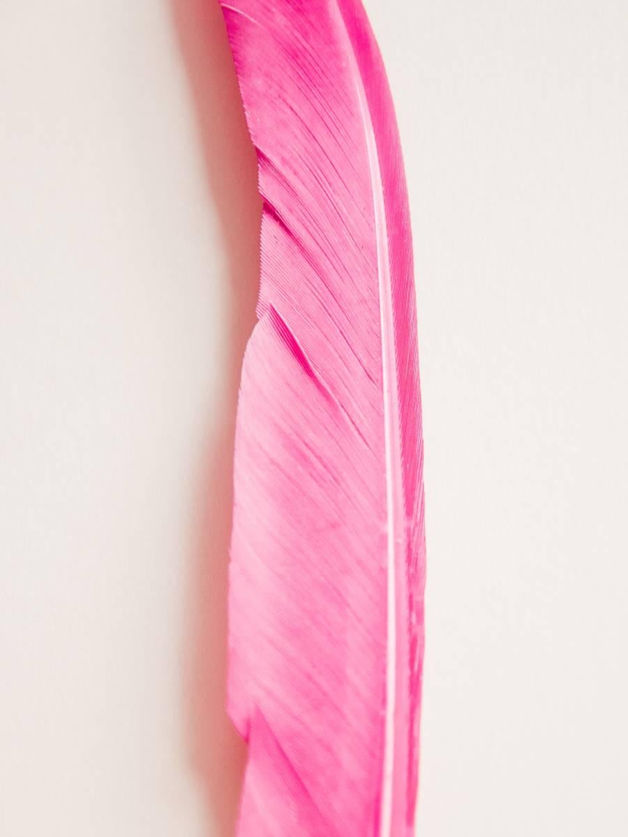 Maria Piessis Abstract Print - Feather or Not 4