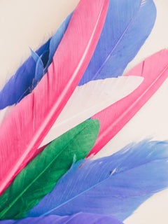 Feather or Not 10