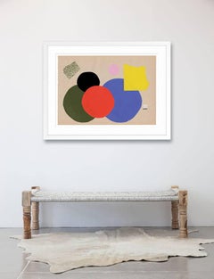 DOTS 1.1