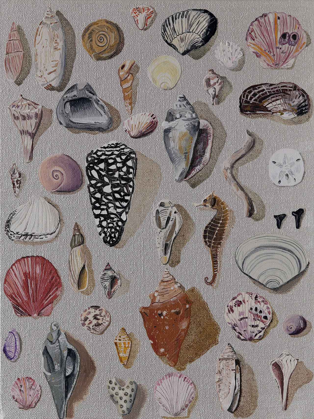 Shells - Print by Libby Black