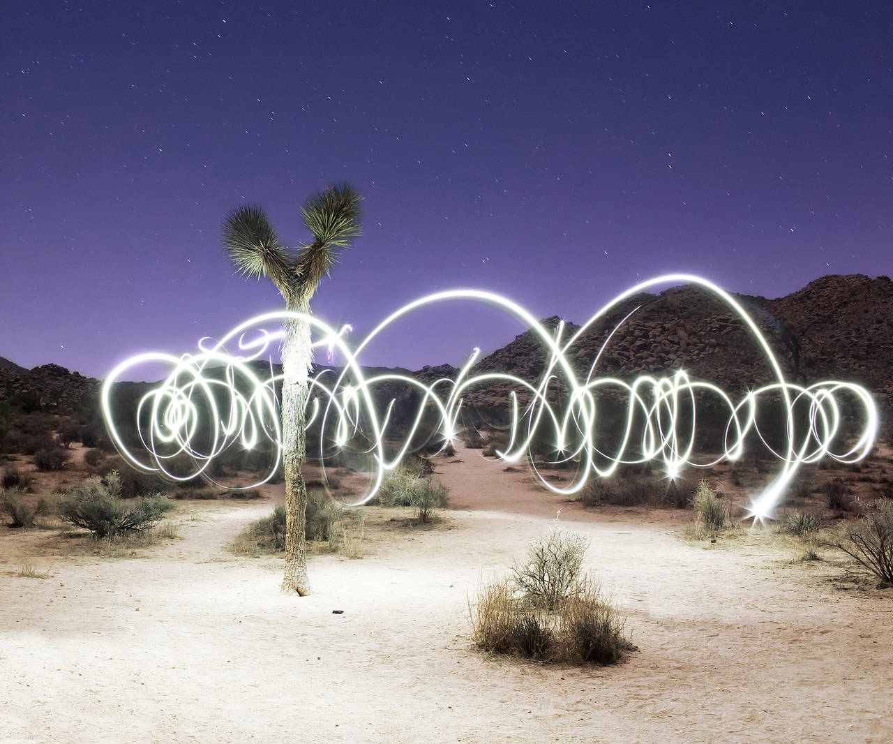 Ludwig Favre Landscape Print – Joshua Tree National Park