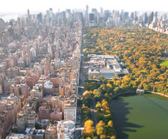 Fifth Avenue