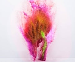 Exploding Powder Movement: Red