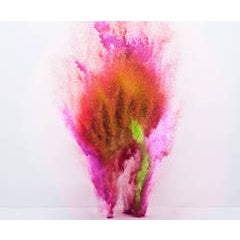 Exploding Powder Movement: Red 7