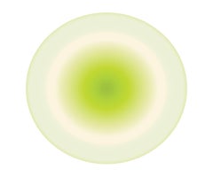 Used Drop of Green Circle