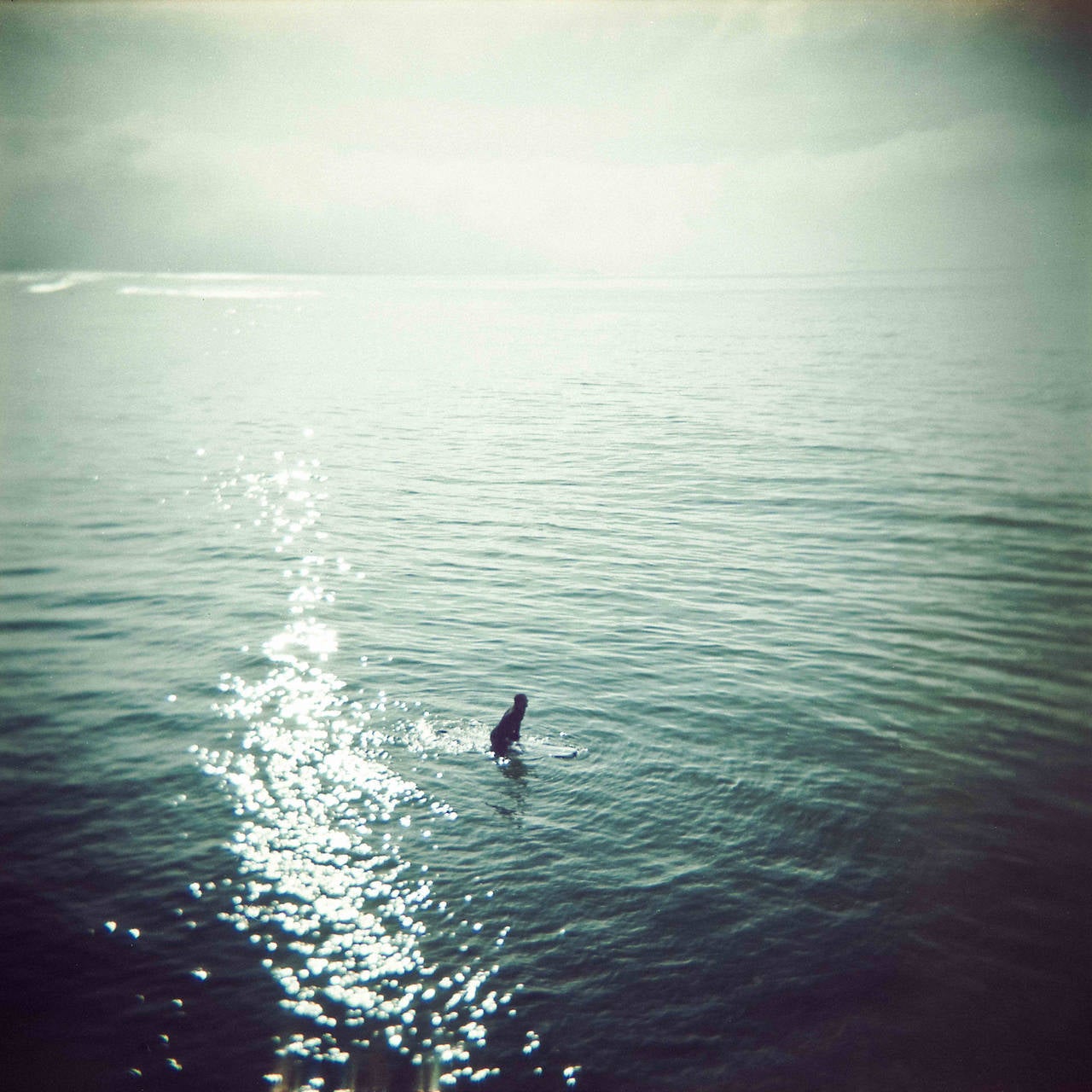 Josh Soskin Landscape Photograph - Lone Surfer