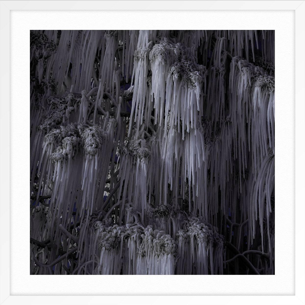 Frostbite 02 (Schwarz), Landscape Print, von Luca Marziale