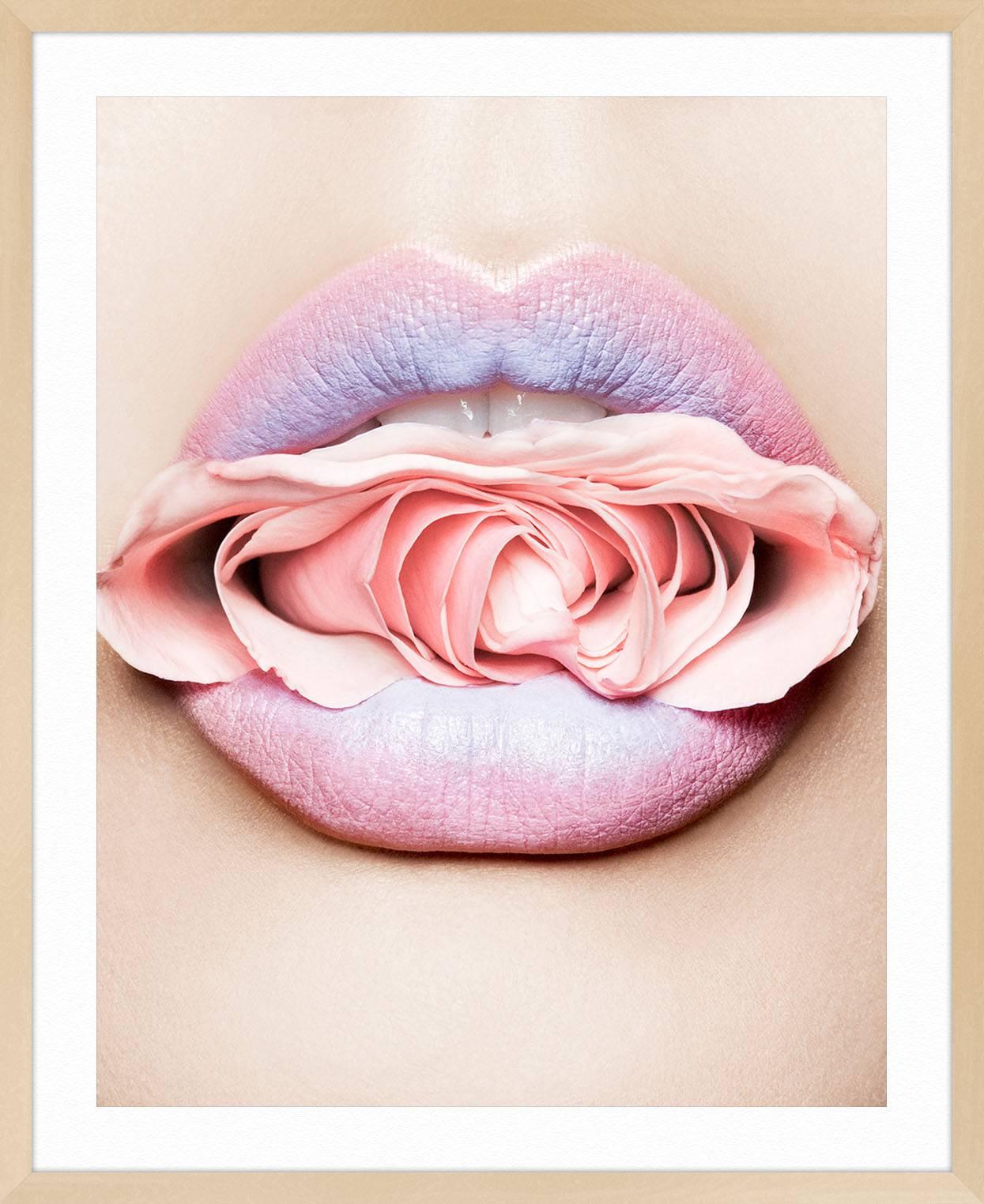 Rose - Beige Color Photograph by Antonio Terron