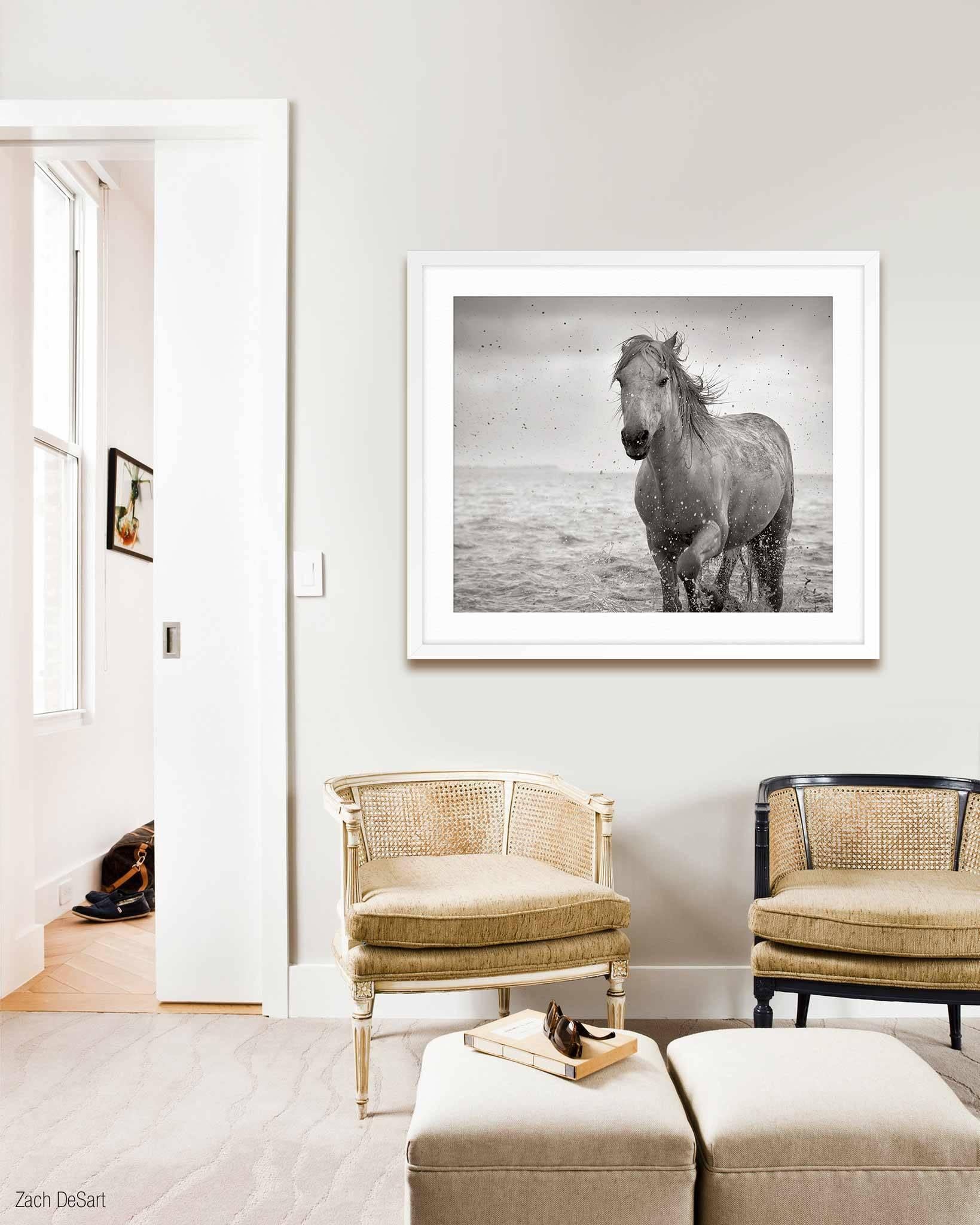 White Mane Camargue - Print by Jonathan Chritchley