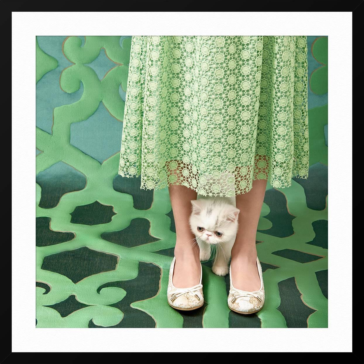Cat 02 - Green Figurative Print by Carolina Mizrahi