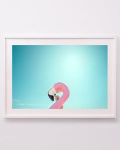 Flamingos by the Sea