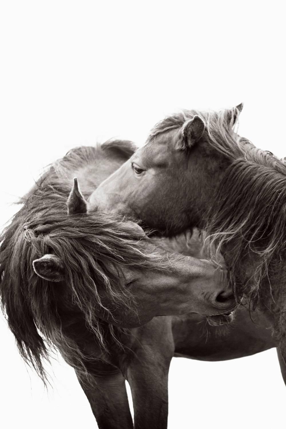 Drew Doggett Portrait Photograph - Kisses