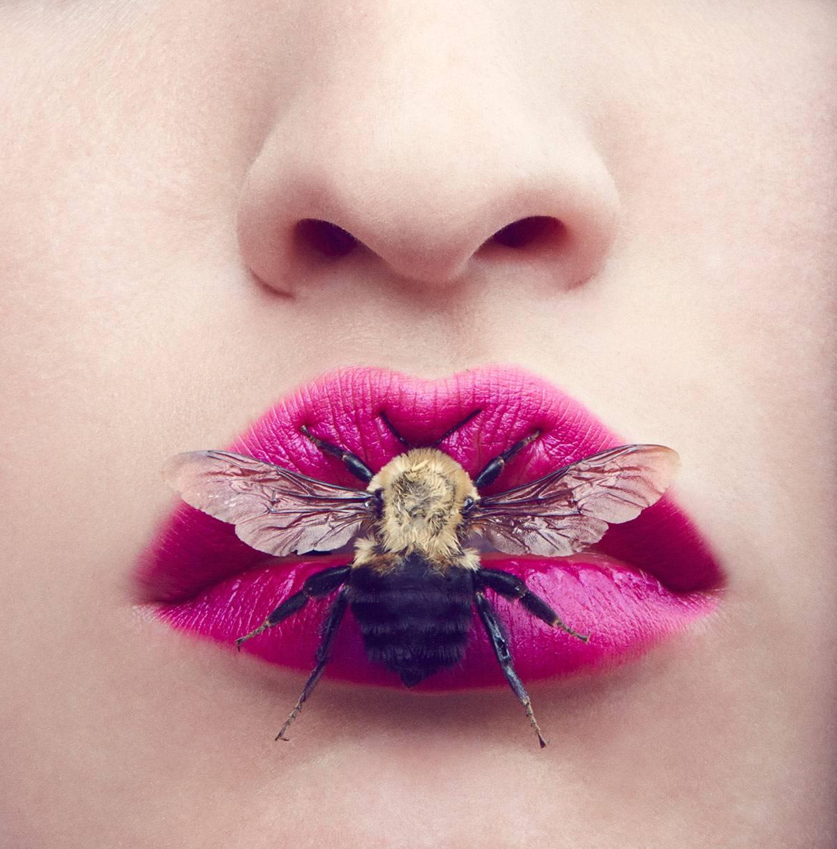 Amanda Pratt Color Photograph - Beauty Bug
