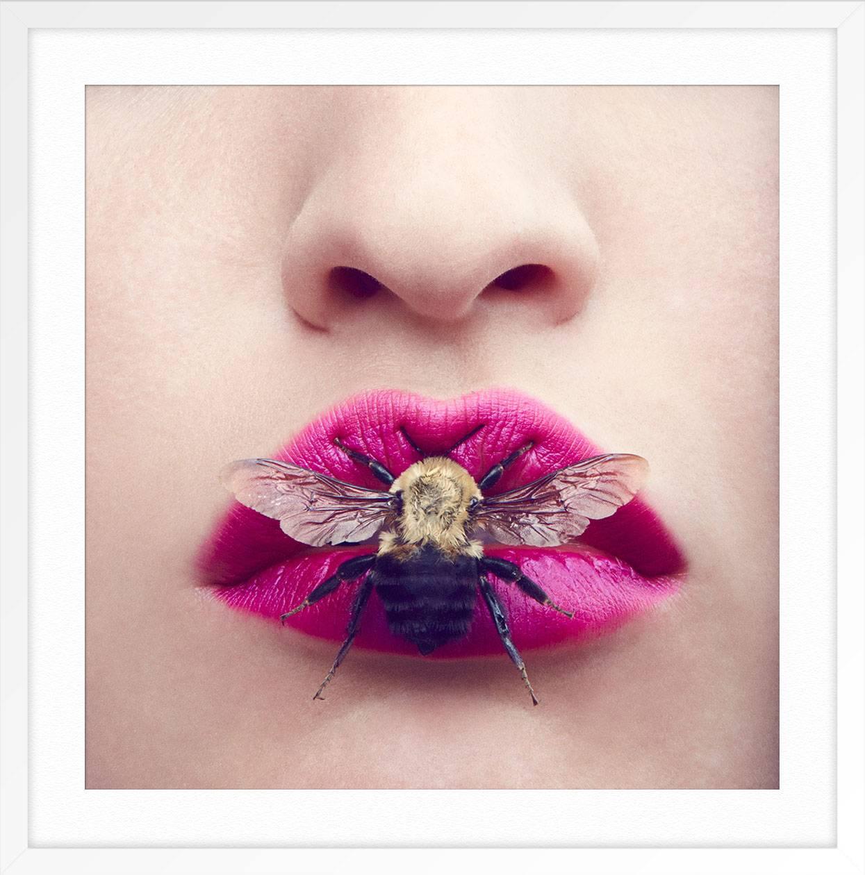Beauty Bug - Beige Color Photograph par Amanda Pratt