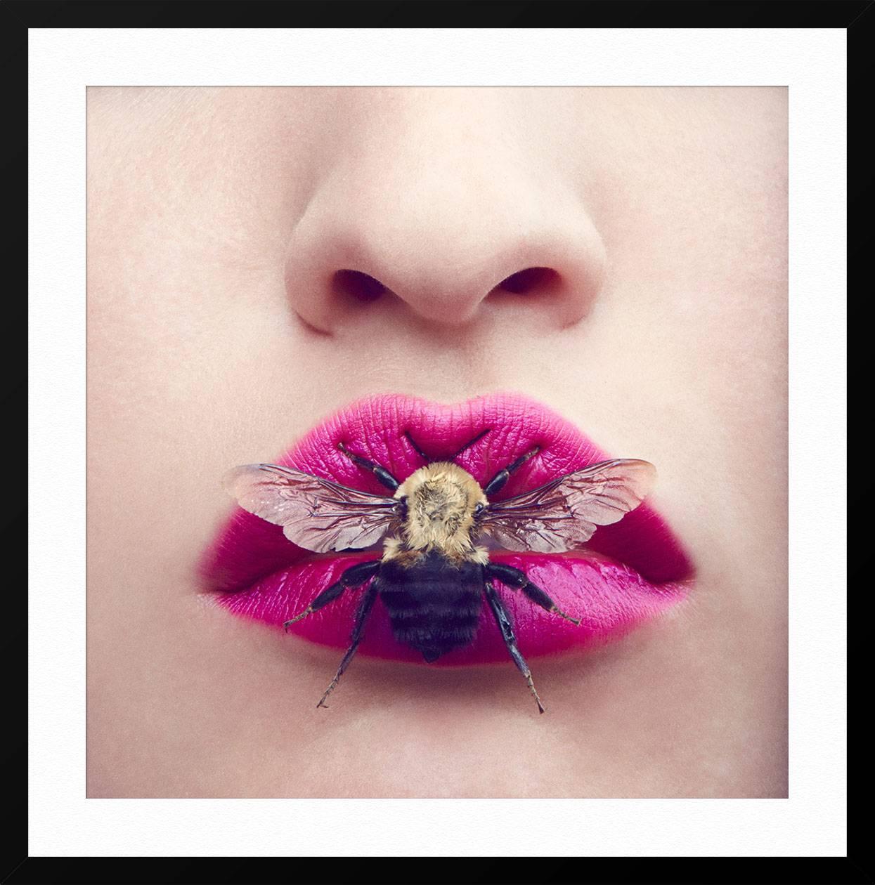 Beauty Bug - Beige Color Photograph by Amanda Pratt