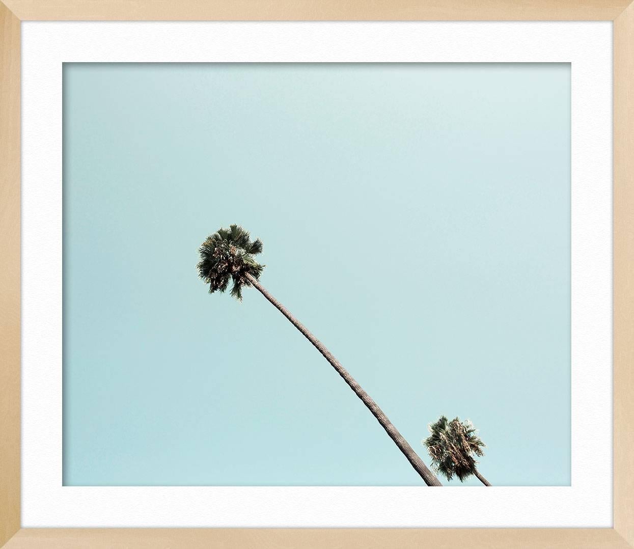 ABOUT THIS PIECE: Photographer Ludwig Favre shot Beverly Hills Palm on his last trip to Los Angeles, California. He is know for a soft, often pastel palette and interesting cropping choices. Our curators recommend this work large format and with a