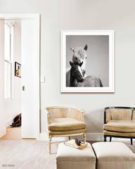 Mare and Foal Camargue France