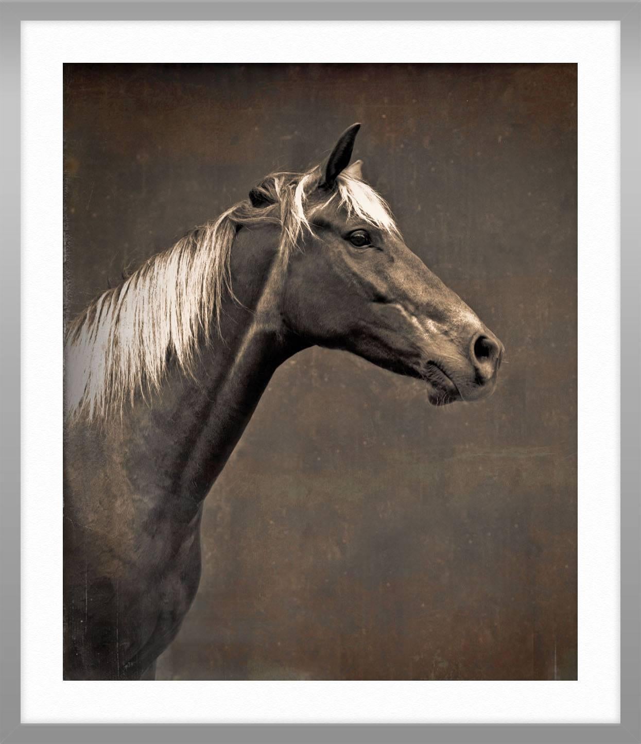 ABOUT THIS PIECE: “There is something in the idea of the horse that evokes what I feel we as humans have lost: our connection to spirit, sense of wildness, and our spontaneity. In the horse we see our sacred history and our passage through time.