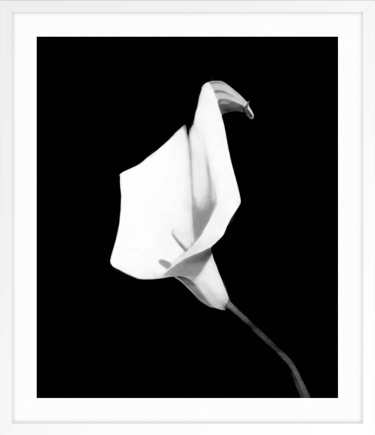 ABOUT THIS PIECE: This painting is based off of Robert Mapplethorpe's Flower series while expanding and adding to the theory and concepts of appropriation by using iconic contemporary photography as my source material. My intention is to allow the