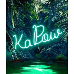 Disco in the Jungle: Ka Pow 1