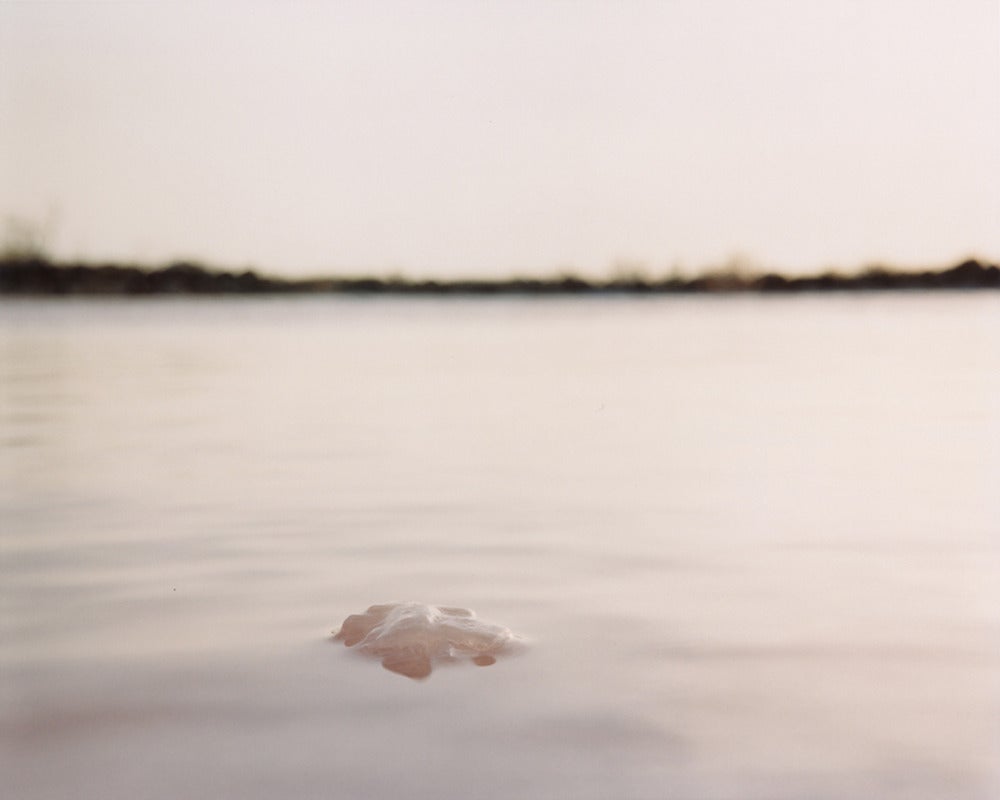 Fried Waters (Yucatan, Mexico) (B08) - Photograph by Eduardo Del Valle and Mirta Gomez