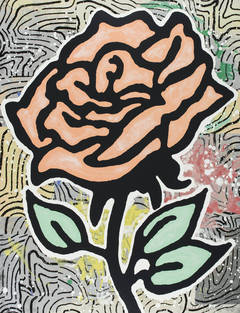 Peach Rose (Six Roses)