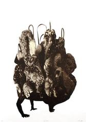 Amalgam (brown)