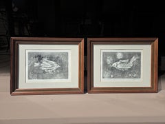 Vogel im Regenbogen, #1 und #2