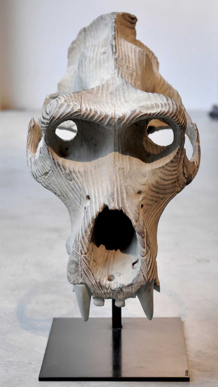 Skull of gorilla - Sculpture by Quentin Garel