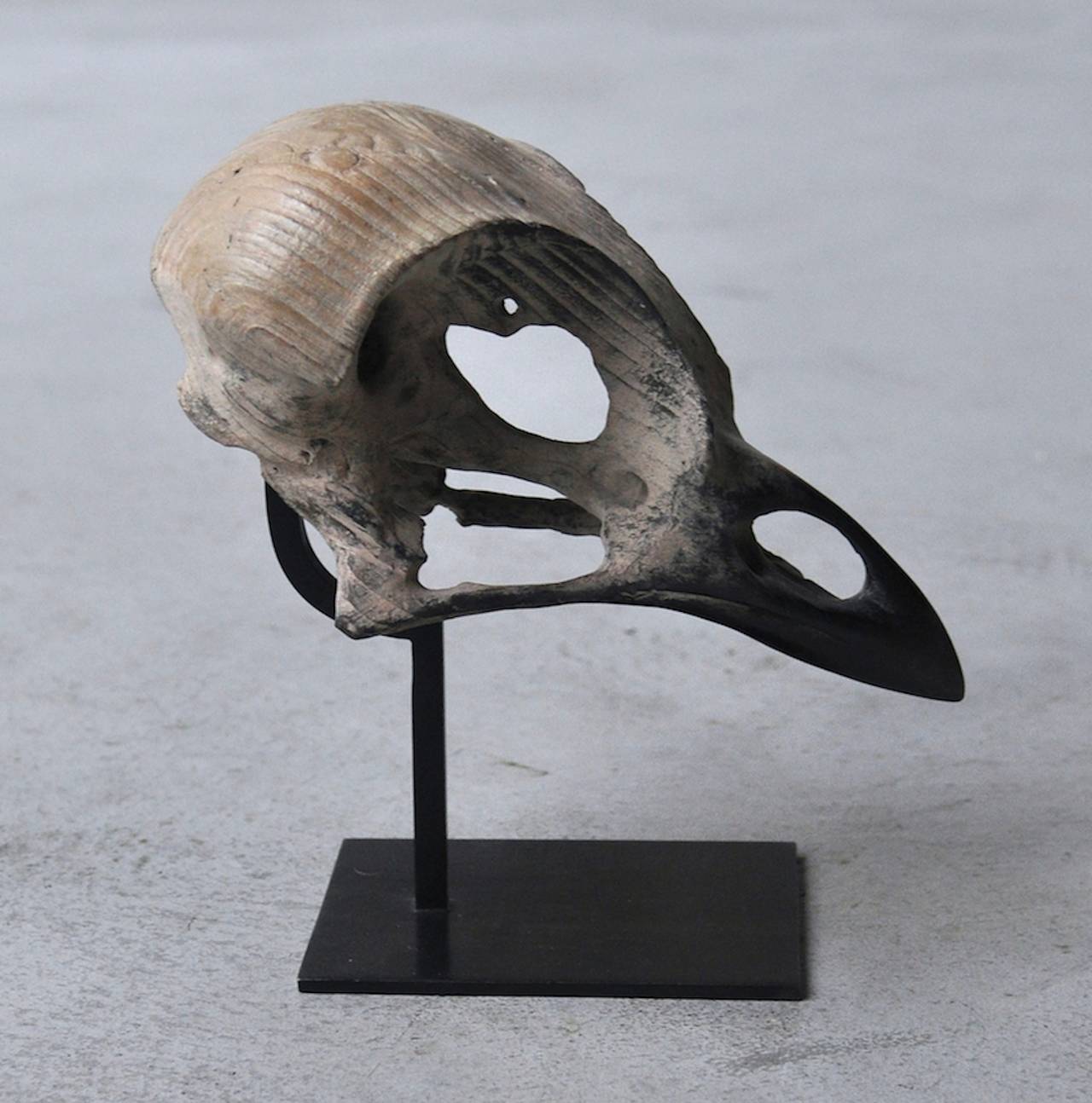Quentin Garel Figurative Sculpture - Little skull of bird