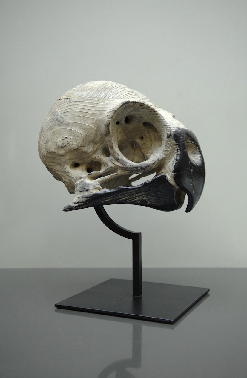 Quentin Garel Figurative Sculpture - Skull of Parakeet