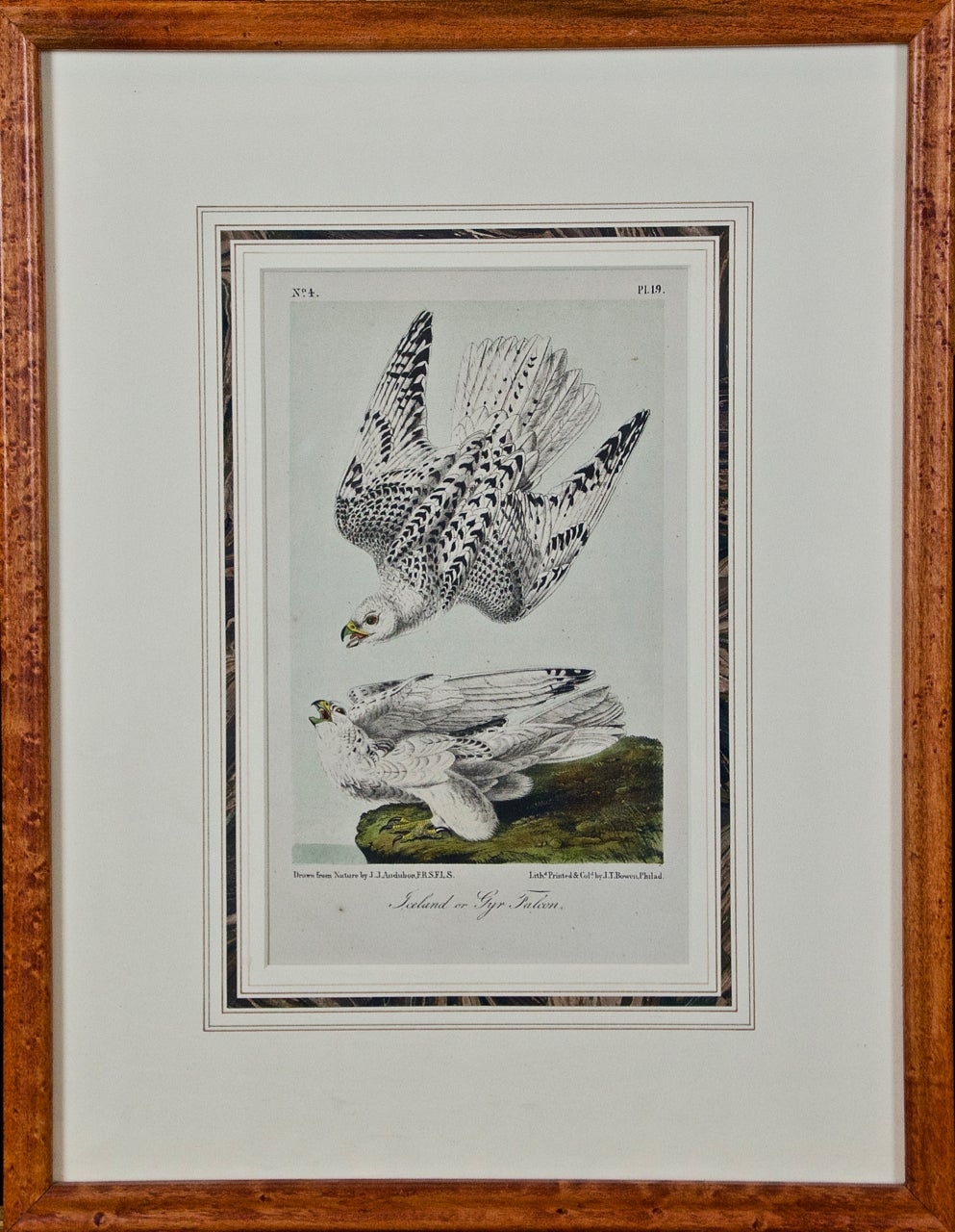 John James Audubon Framed Original Audubon Hand Colored Bird
