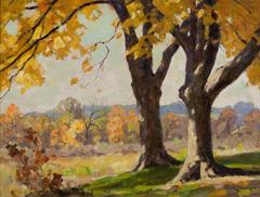 Old Maples 10
