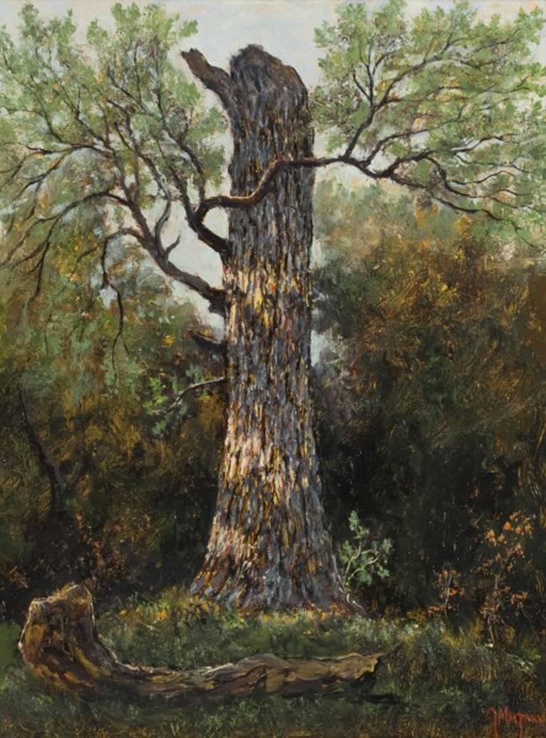 Jerry Malzahn Landscape Painting - Broken Oak, Fort Worth, Texas