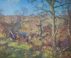 Sunny Hillside 4